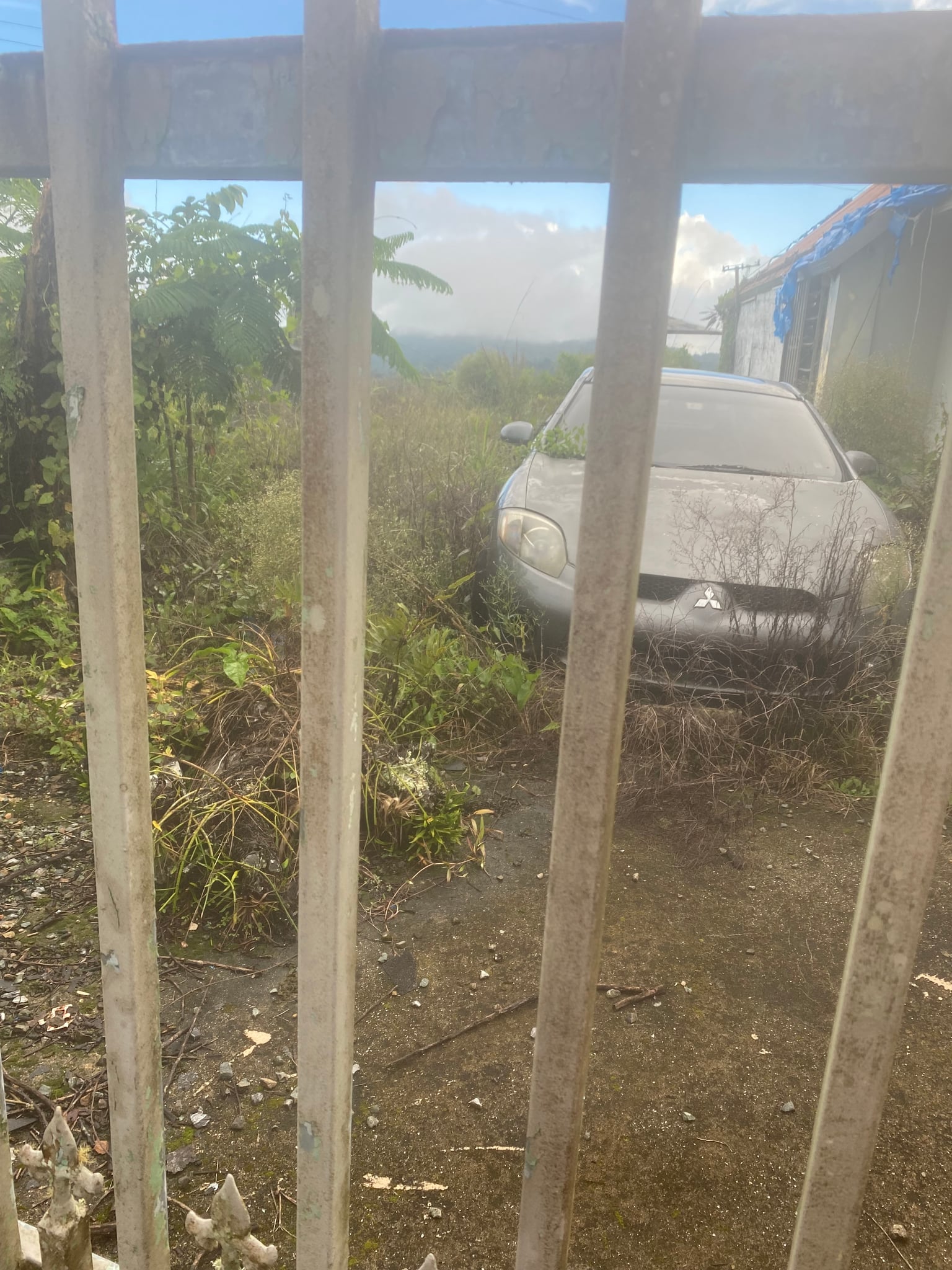 Reporte ciudadano de estorbo público en BO PORTUGUES, CARR. 143 km. 4.0 IN, PR, Puerto Rico, Adjuntas, PR 00601, Adjuntas