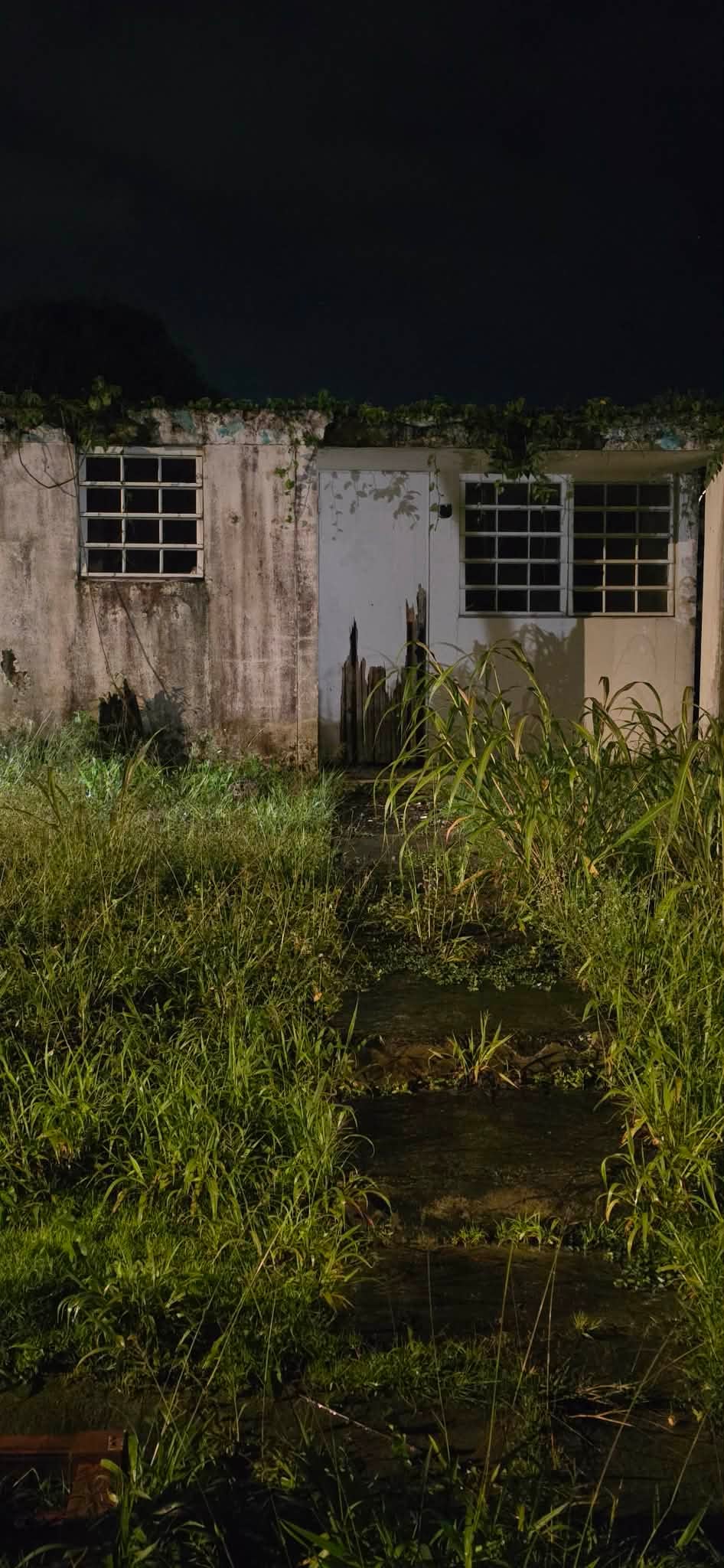 Reporte ciudadano de estorbo público en URB EXTENSION JARDINES DE AGUADA A10, Aguada Puerto Rico , PR 00602, Aguada