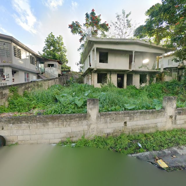 Reporte ciudadano de estorbo público en 6WR4+C8X Aguas Buenas, Puerto Rico, Aguas Buenas