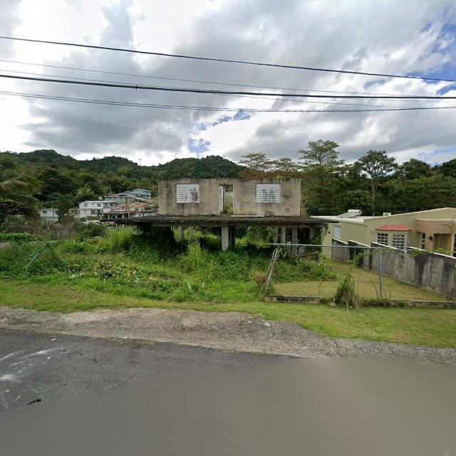 Reporte ciudadano de estorbo público en 6VRX+H6C Aguas Buenas, Puerto Rico, Aguas Buenas