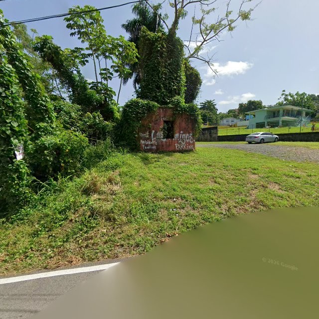 Reporte ciudadano de estorbo público en 7VQH+8W3 Espino, Añasco, Puerto Rico, Añasco