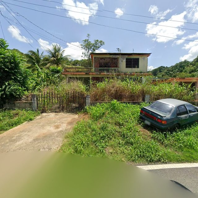 Reporte ciudadano de estorbo público en 7VMX+JX4 Espino, Añasco, Puerto Rico, Añasco