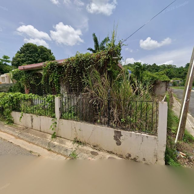 Reporte ciudadano de estorbo público en 7VX4+FHJ Las Marías, Añasco, Puerto Rico, Añasco