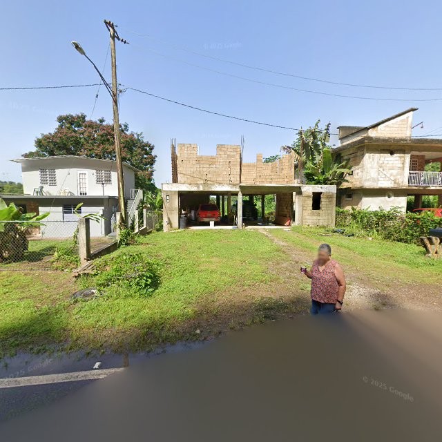 Reporte ciudadano de estorbo público en 7VPV+5W6 Espino, Añasco, Puerto Rico, Añasco