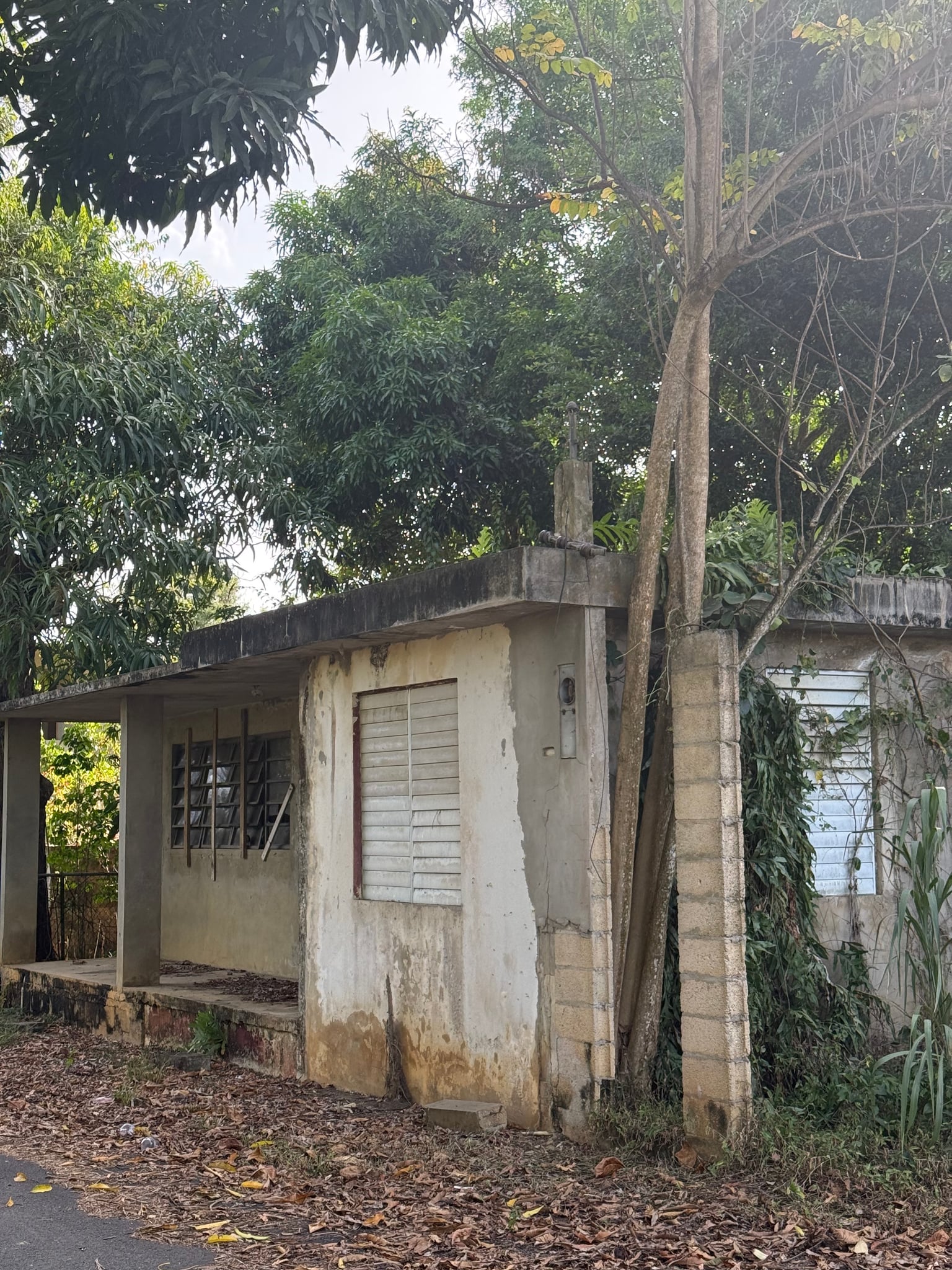 Reporte ciudadano de estorbo público en 6 La Represa, Bo. Santana, PR 00612, Arecibo