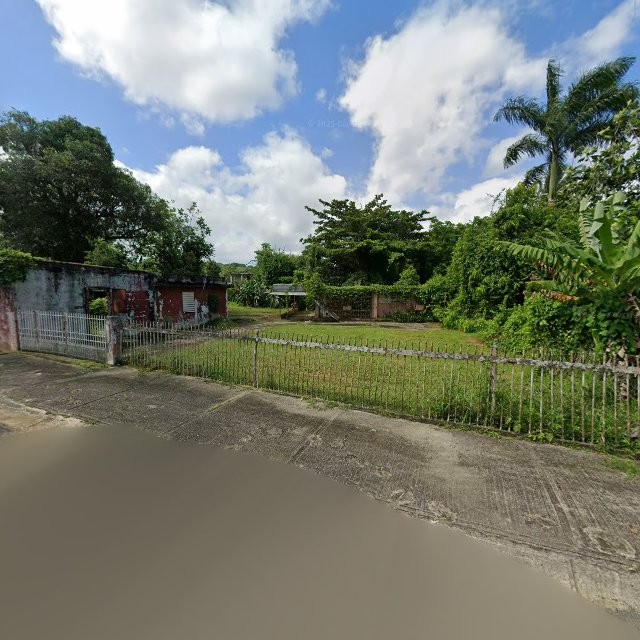 Reporte ciudadano de estorbo público en BO DOMINGO RUIZ , PR, Puerto Rico, 00000, Arecibo