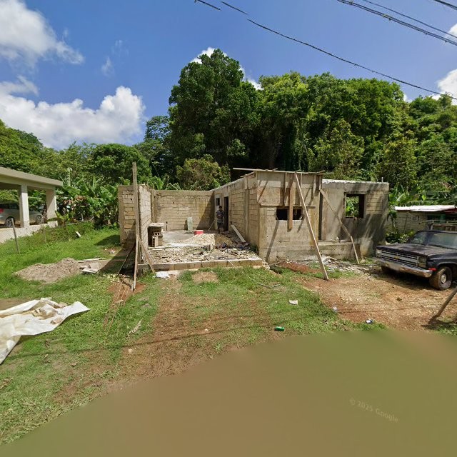 Reporte ciudadano de estorbo público en CC22+492 La Alianza, Arecibo, Puerto Rico, Arecibo