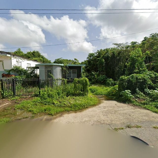 Reporte ciudadano de estorbo público en F926+VV3 Animas, Arecibo, Puerto Rico, Arecibo