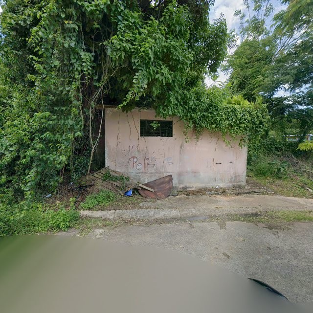 Reporte ciudadano de estorbo público en C99P+49R Sabana Hoyos, Arecibo, Puerto Rico, Arecibo
