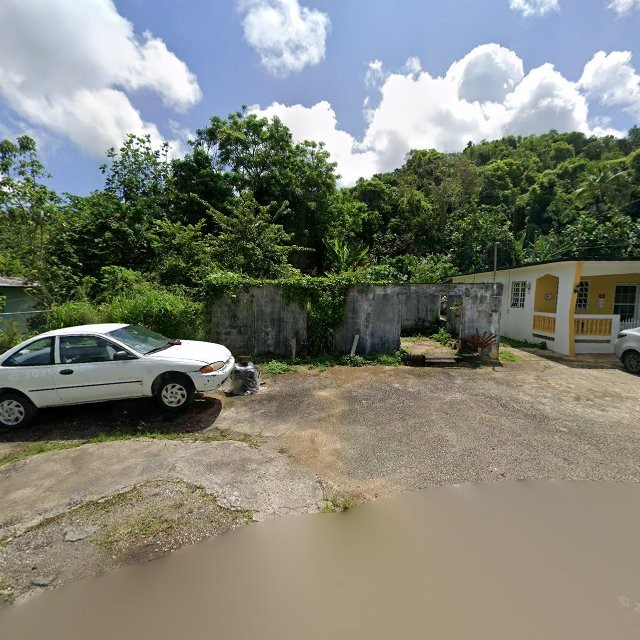 Reporte ciudadano de estorbo público en 99WR+G8J La Alianza, Arecibo, Puerto Rico, Arecibo