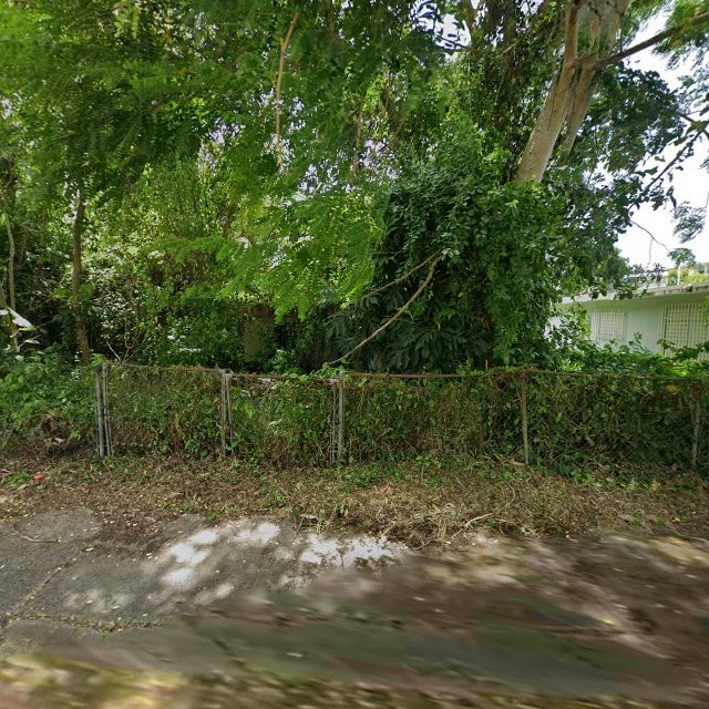 Reporte ciudadano de estorbo público en BO ARECIBO , PR, PR, 00000, Arecibo