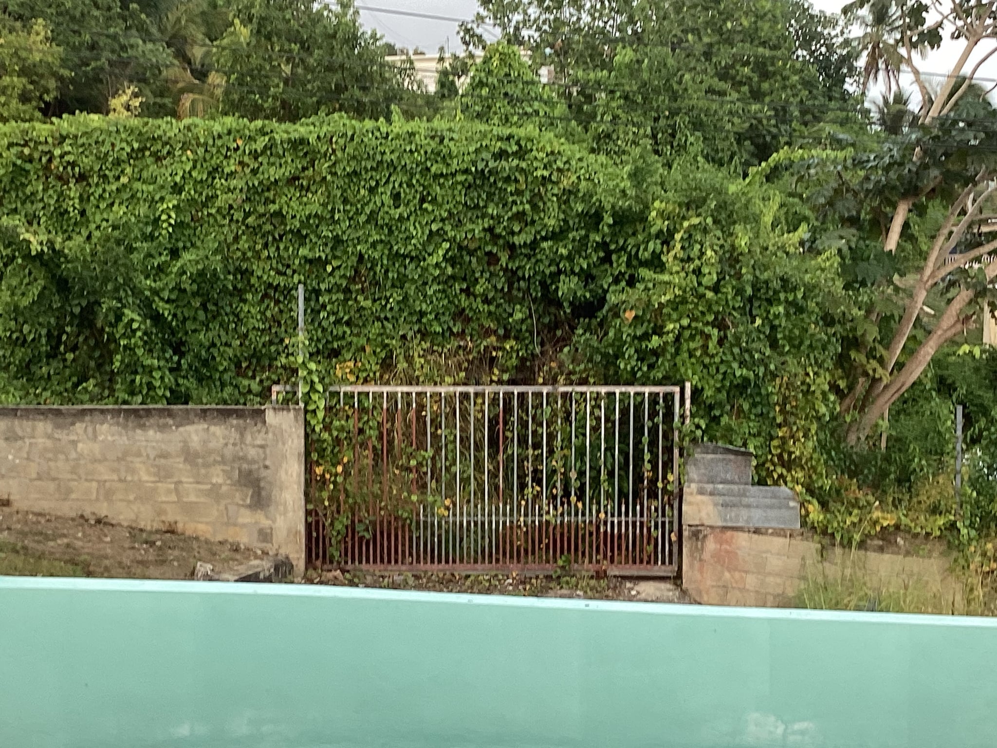 Reporte ciudadano de estorbo público en Calle 5, Barrio Factor, PR 00612, Arecibo