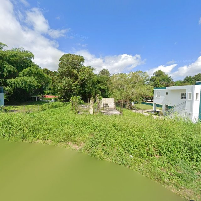 Reporte ciudadano de estorbo público en BO ARENALEJOS , ., PR, Puerto Rico, 00616, Arecibo