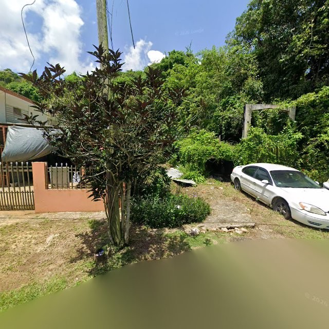 Reporte ciudadano de estorbo público en ABRA SAN FRANCISCO, CALLE CARDONA NUM 186, PR, Puerto Rico, 00612, Arecibo