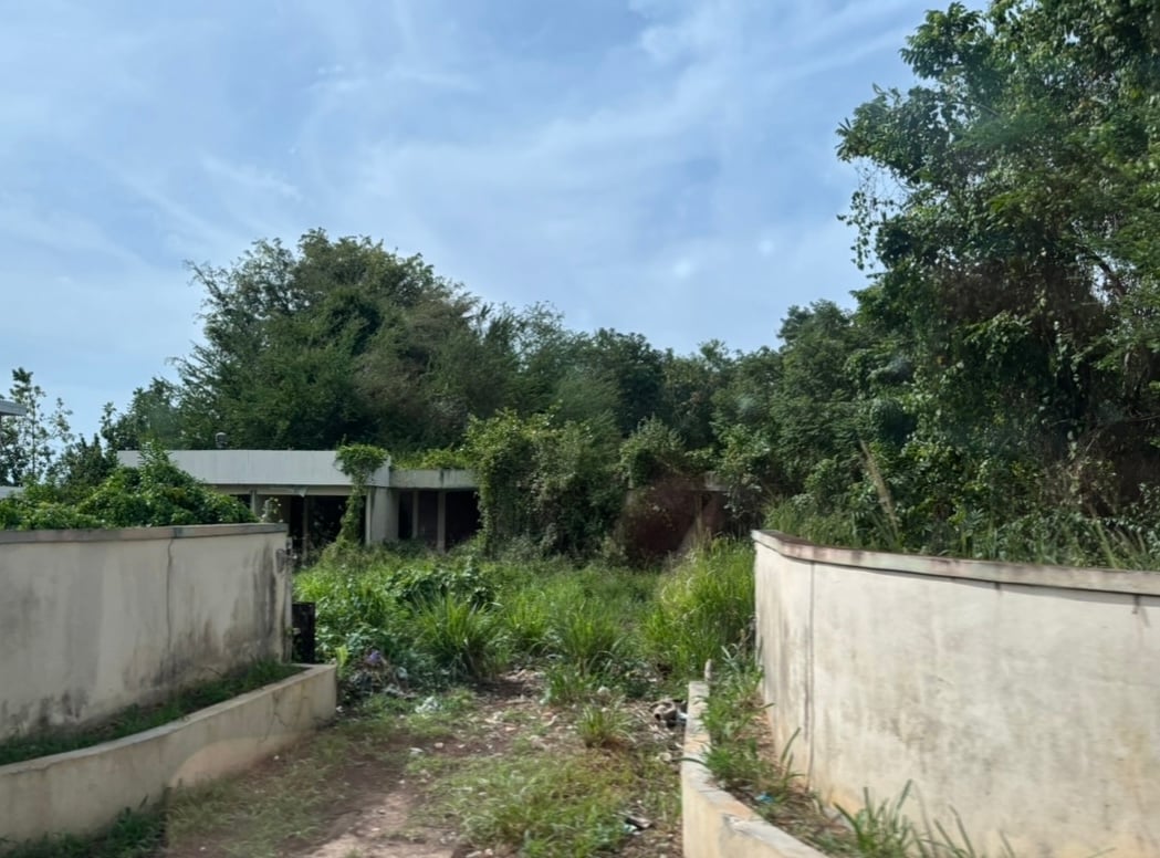 Reporte ciudadano de estorbo público en Barrio Hato Arriba, Puerto Rico, PR 00612, Arecibo