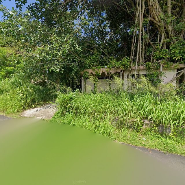 Reporte ciudadano de estorbo público en C9FW+695 Sabana Hoyos, Arecibo, Puerto Rico, Arecibo