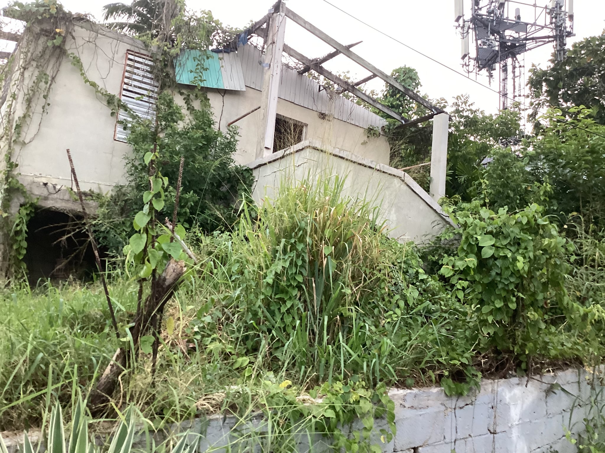 Reporte ciudadano de estorbo público en Calle 5, Barrio Factor, PR 00612, Arecibo