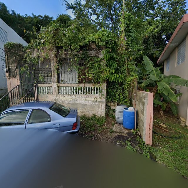 Reporte ciudadano de estorbo público en CR38+C95 Bayamón, Puerto Rico, Bayamón
