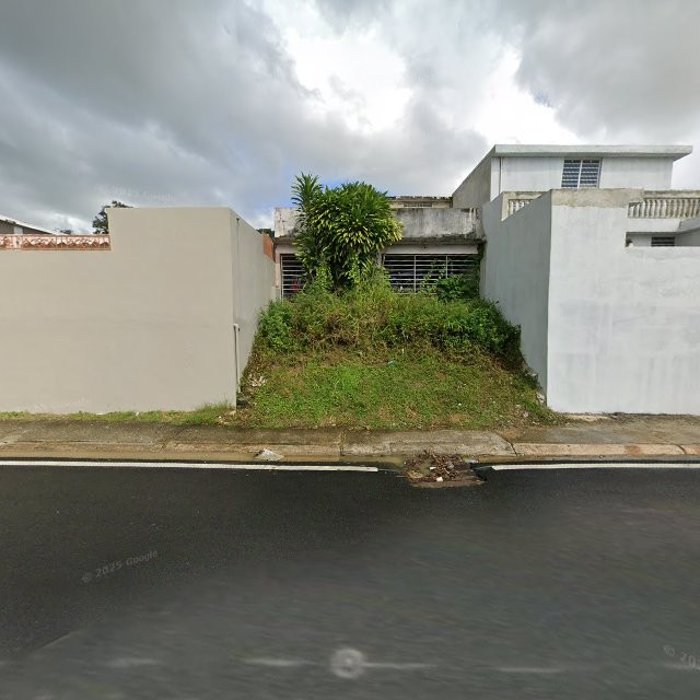 Reporte ciudadano de estorbo público en CR27+694 Bayamón, Puerto Rico, Bayamón