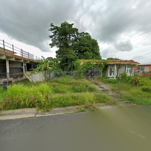 Reporte ciudadano de estorbo público en 3RPX+2R8 Cabo Rojo, Puerto Rico, Cabo Rojo