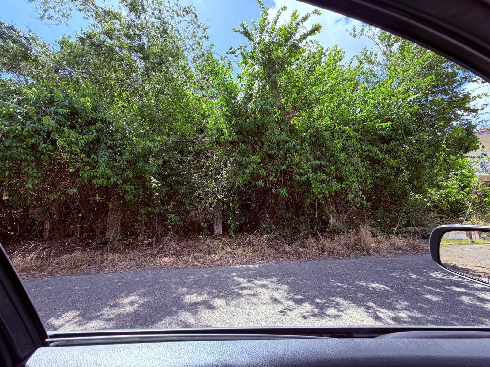 Reporte ciudadano de estorbo público en BO BOQUERON , CARR 103 KM.HM 10.05, Cabo Rojo, PR 00622, Cabo Rojo