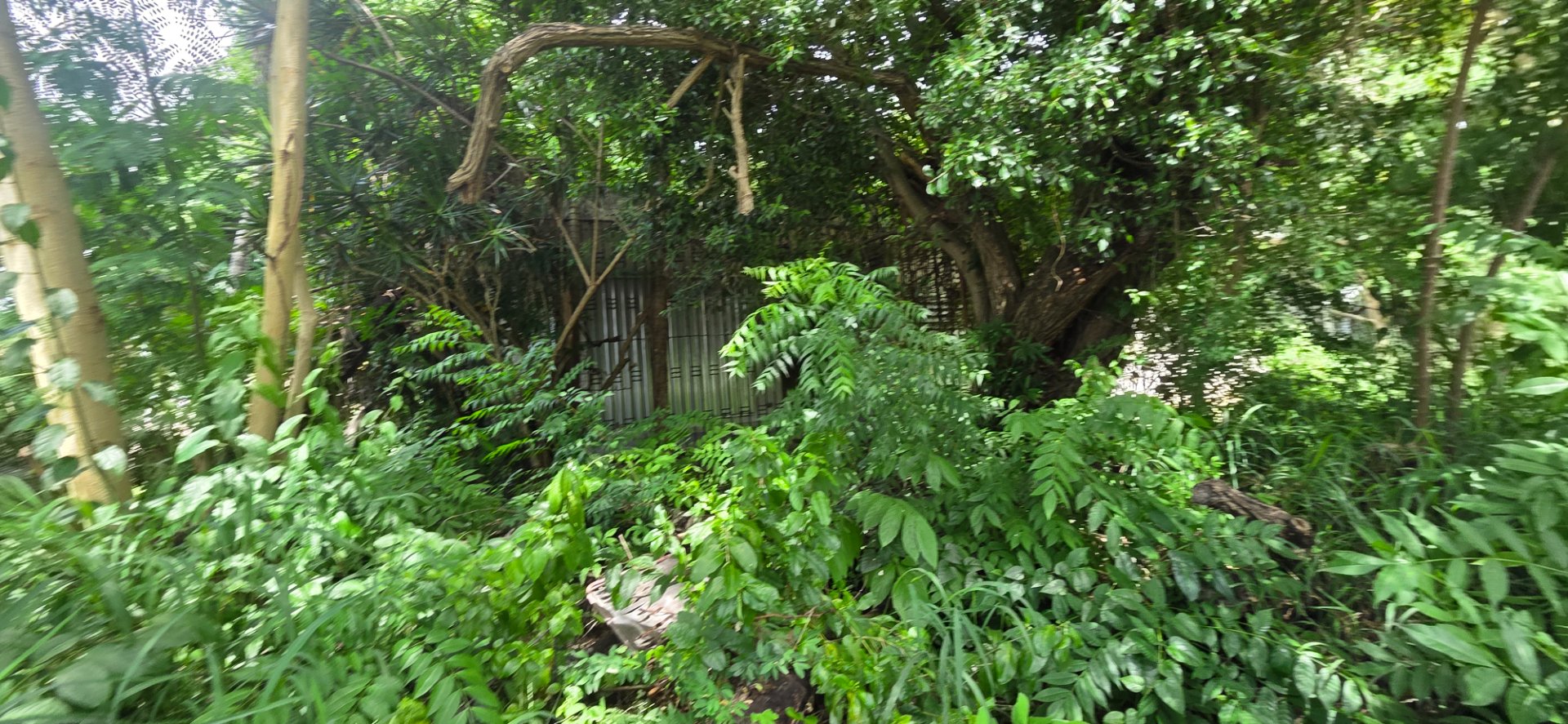 Reporte ciudadano de estorbo público en Avenida Santos Ortiz Montalvo 94, Cabo Rojo, PR 00623, Cabo Rojo