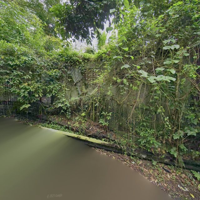 Reporte ciudadano de estorbo público en 8X57+G7W La Liga, Caguas, Puerto Rico, Caguas