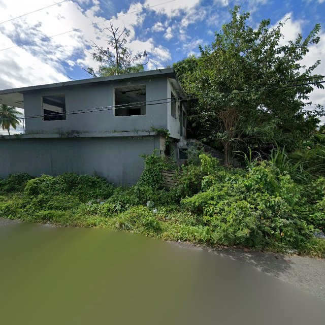 Reporte ciudadano de estorbo público en 94R8+MJ3 San Isidro, Canóvanas, Puerto Rico, Canóvanas