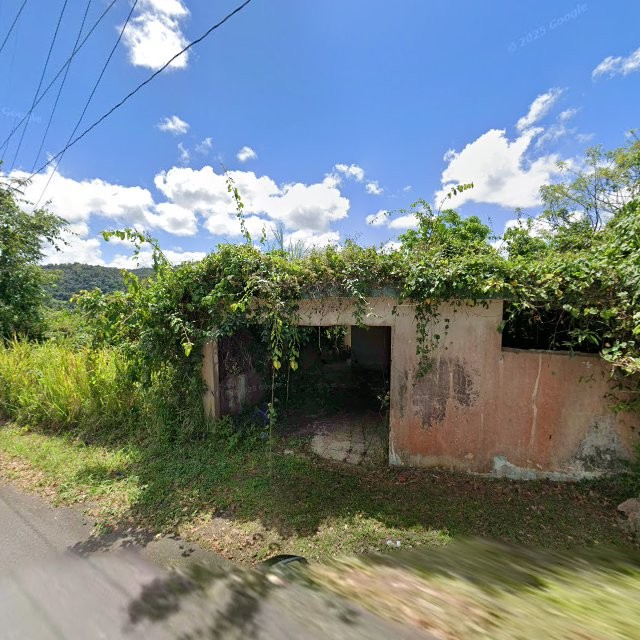 Reporte ciudadano de estorbo público en 74G9+J6M Benitez, Canóvanas, Puerto Rico, Canóvanas