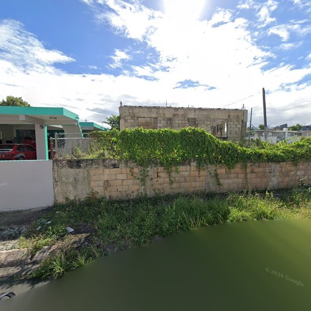 Reporte ciudadano de estorbo público en 94VC+44V San Isidro, Canóvanas, Puerto Rico, Canóvanas
