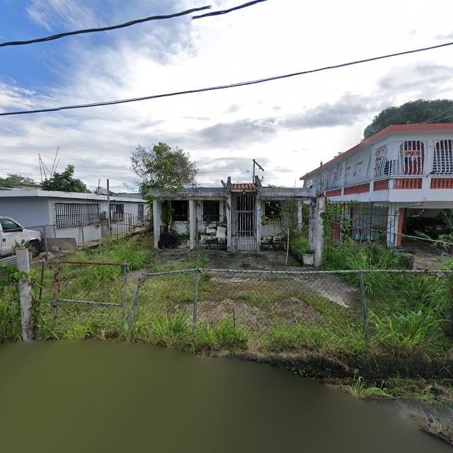 Reporte ciudadano de estorbo público en 94Q8+Q44 San Isidro, Canóvanas, Puerto Rico, Canóvanas