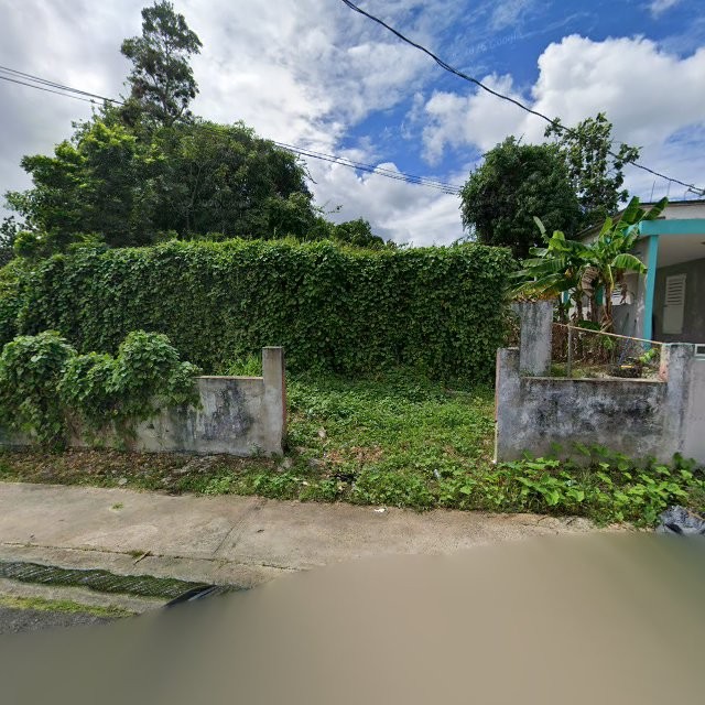 Reporte ciudadano de estorbo público en 94R5+WF9 San Isidro, Canóvanas, Puerto Rico, Canóvanas