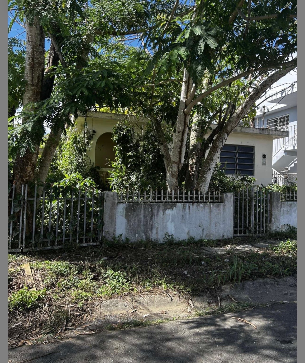 Reporte ciudadano de estorbo público en Dirección física: URB JARDINES DE CAYEY I, CALLE 11 F-5, Cayey, PR 00736, Cayey