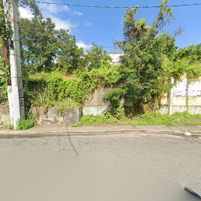 Reporte ciudadano de estorbo público en 4R6Q+V3W Cayey, Puerto Rico, Cayey