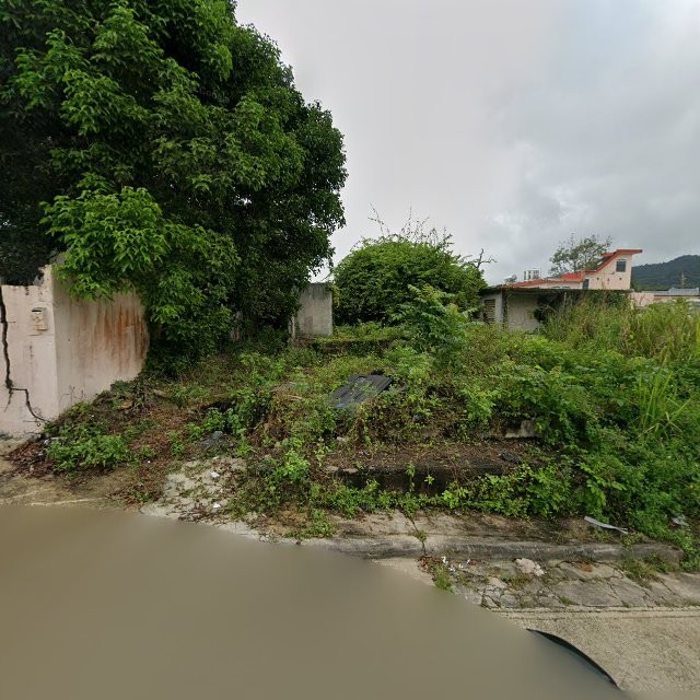 Reporte ciudadano de estorbo público en 4R9J+6XH Cayey, Puerto Rico, Cayey