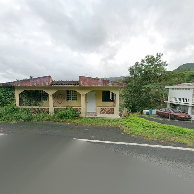 Reporte ciudadano de estorbo público en 4R3G+7QG Cayey, Puerto Rico, Cayey