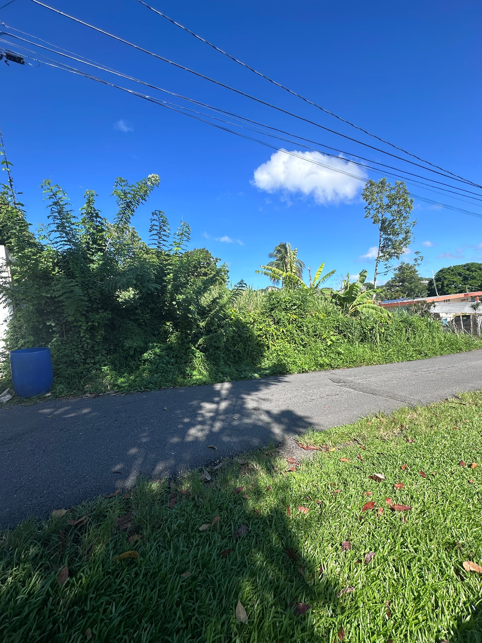 Reporte ciudadano de estorbo público en Carr 149 km 14.9 int bo jaguas, Ciales, PR 00638, Ciales