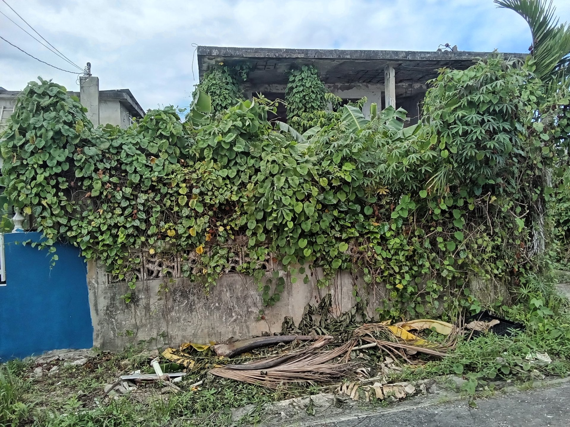 Reporte ciudadano de estorbo público en Comm villa plata calle 22 L29 Mameyal, Dorado, PR 00646, Dorado