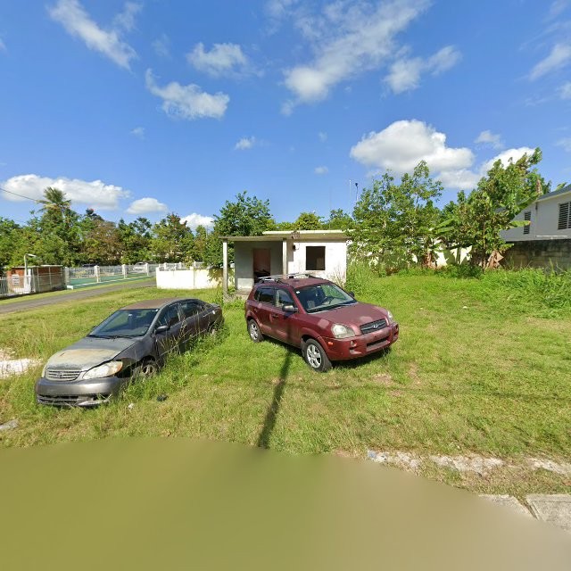 Reporte ciudadano de estorbo público en CM2X+MM9 Maguayo, Dorado, Puerto Rico, Dorado