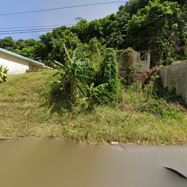 Reporte ciudadano de estorbo público en 88FP+W4Q Fajardo, Puerto Rico, Fajardo