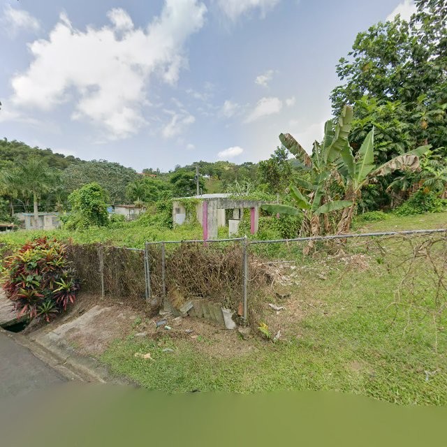 Reporte ciudadano de estorbo público en 77RV+F85 Fajardo, Puerto Rico, Fajardo