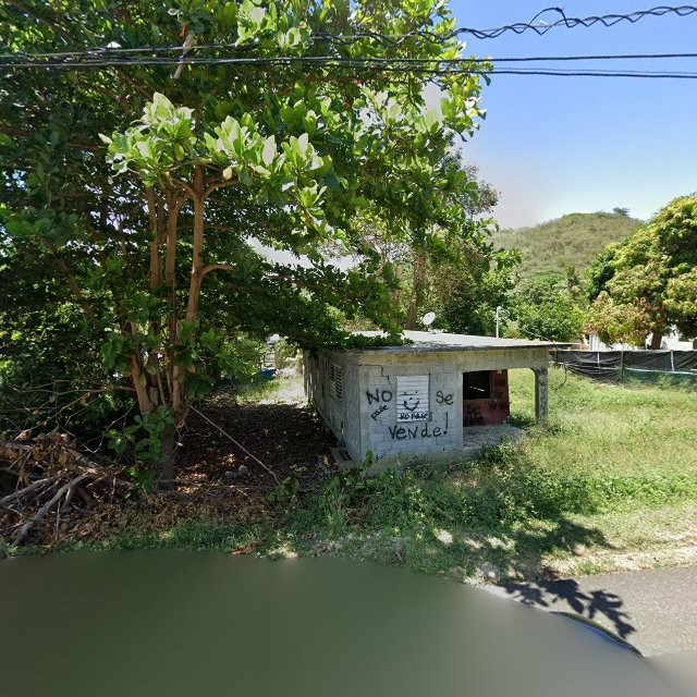 Reporte ciudadano de estorbo público en X4H8+HRM Maria Antonia, Guánica, Puerto Rico, Guánica