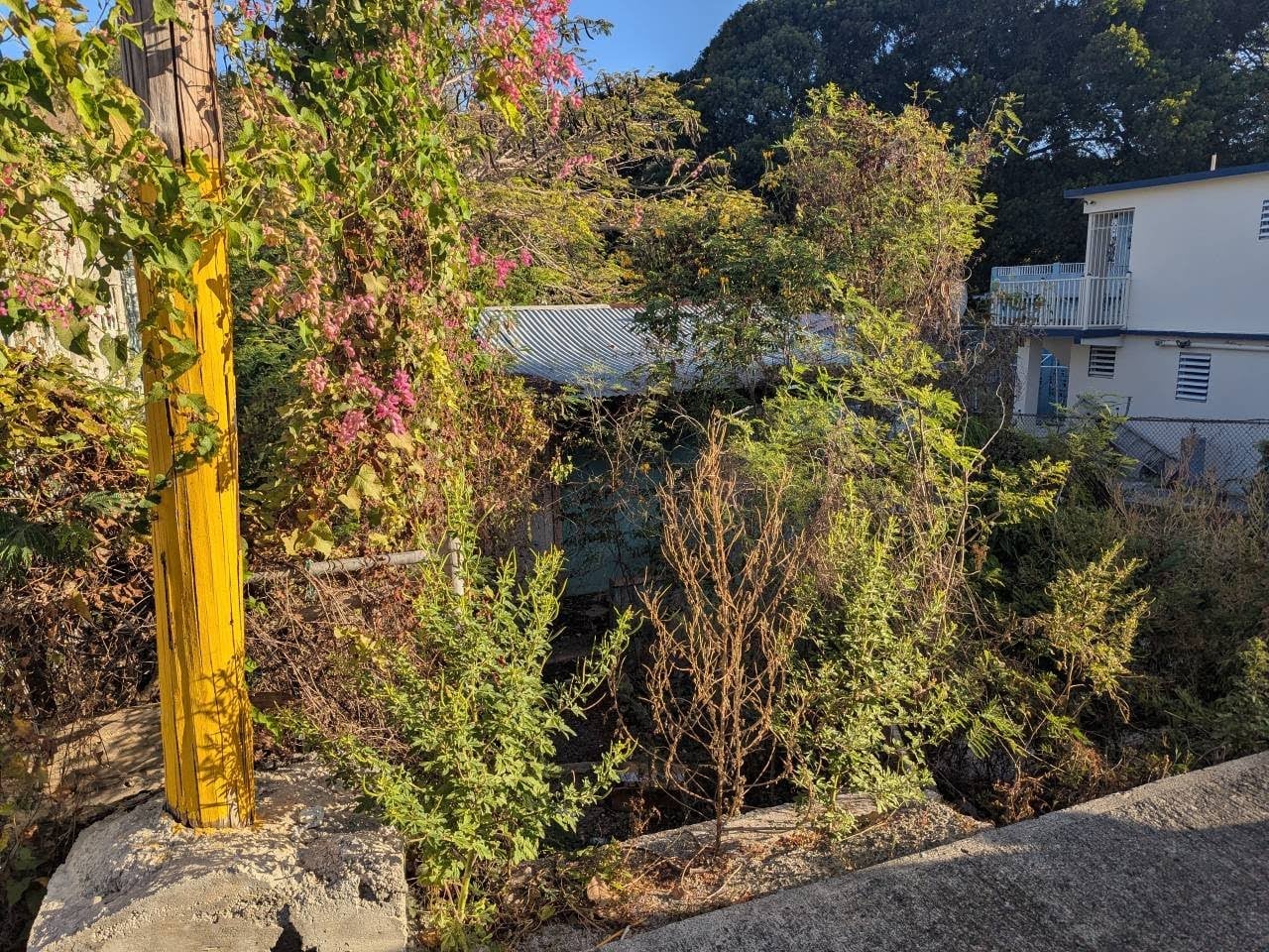 Reporte ciudadano de estorbo público en 10 Calle Roberto Clement, Ensenada, PR 00647, Guánica