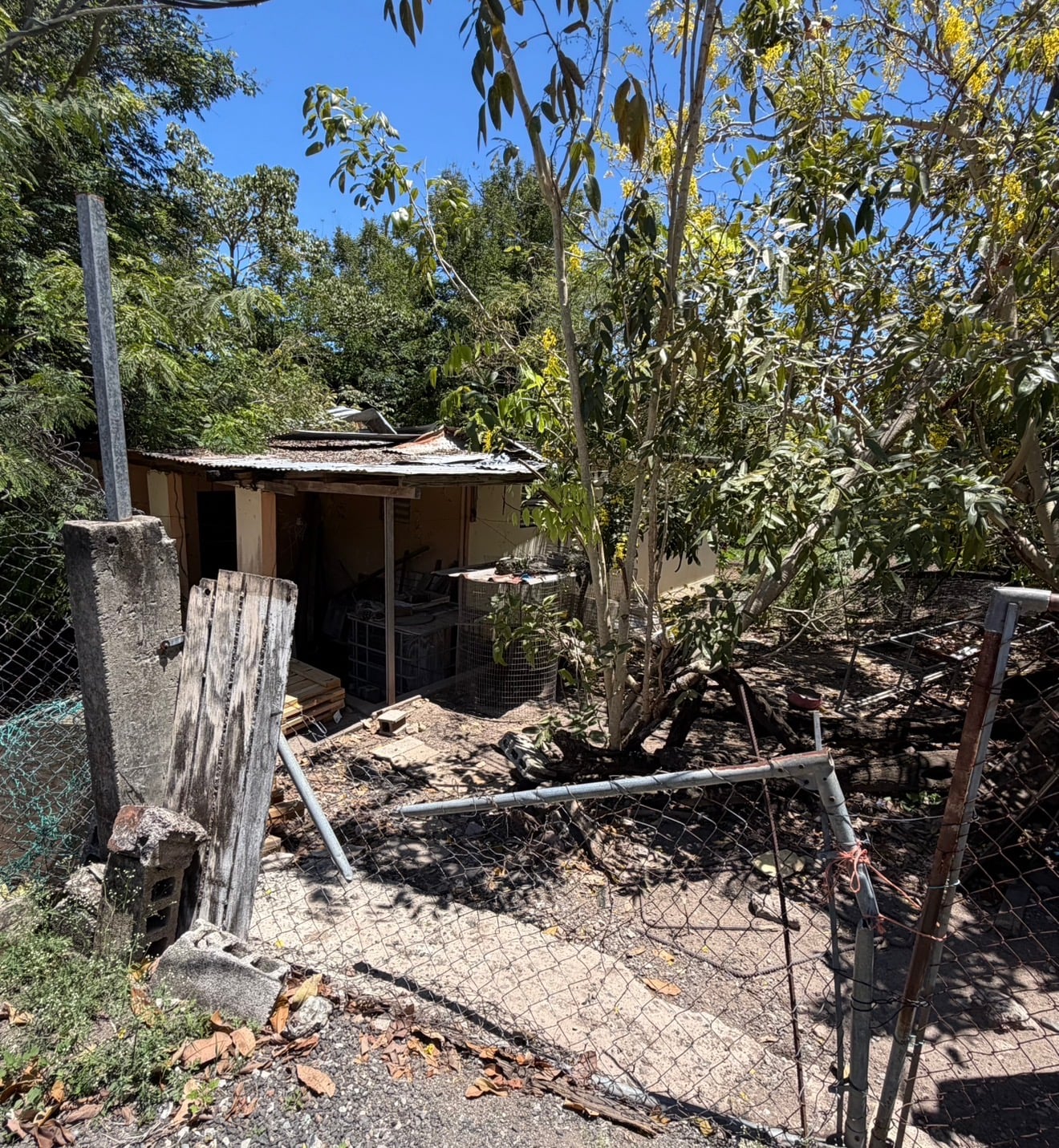 Reporte ciudadano de estorbo público en Bo Magueyes 40A, Guanica , PR 00653, Guánica