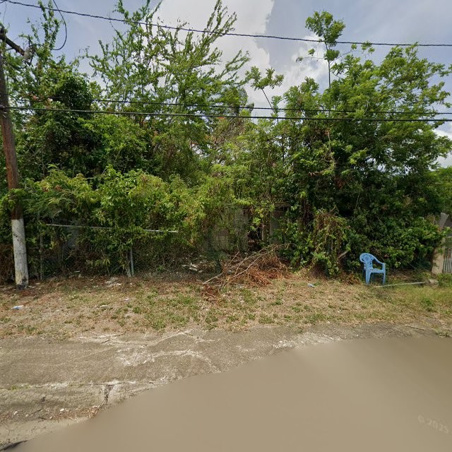 Reporte ciudadano de estorbo público en XR3M+8J6 Jobos, Guayama, Puerto Rico, Guayama