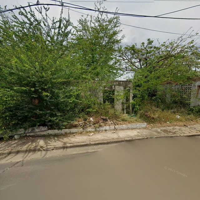 Reporte ciudadano de estorbo público en XR4M+6G2 Jobos, Guayama, Puerto Rico, Guayama