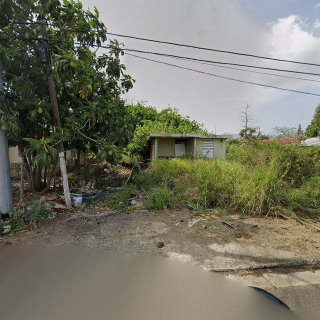 Reporte ciudadano de estorbo público en WVXC+JXQ Guayama, Puerto Rico, Guayama