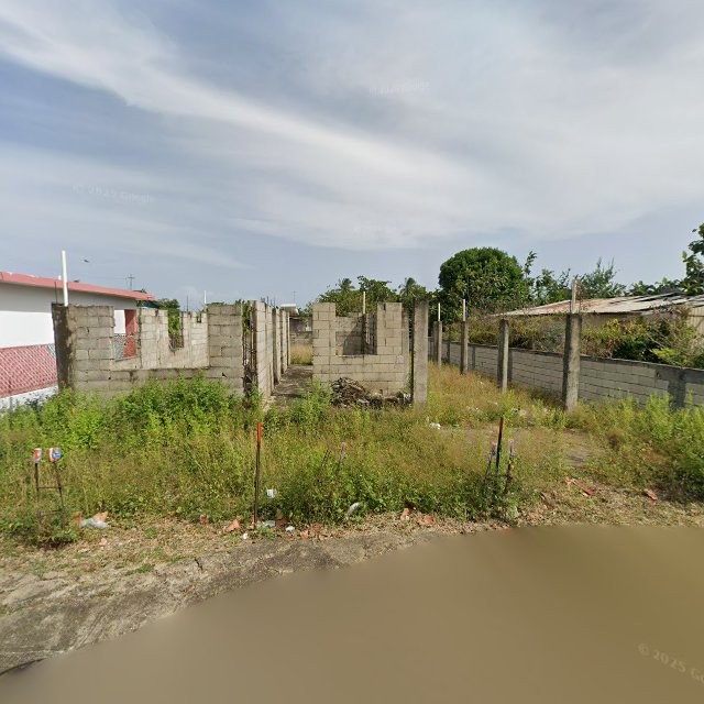 Reporte ciudadano de estorbo público en WVXF+G7G Guayama, Puerto Rico, Guayama