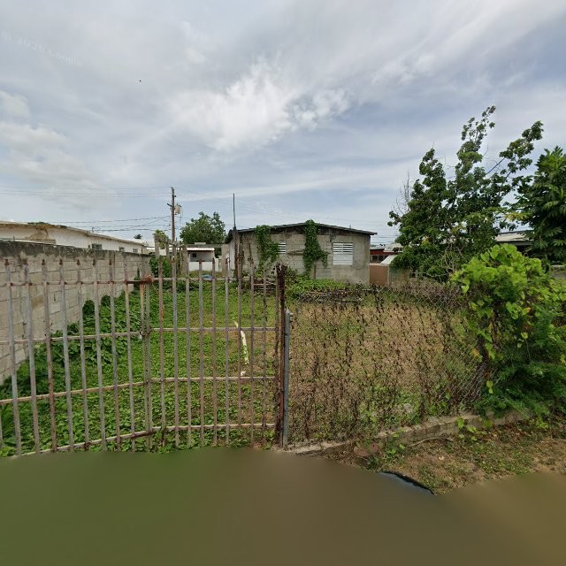 Reporte ciudadano de estorbo público en XR6M+5CC Jobos, Guayama, Puerto Rico, Guayama