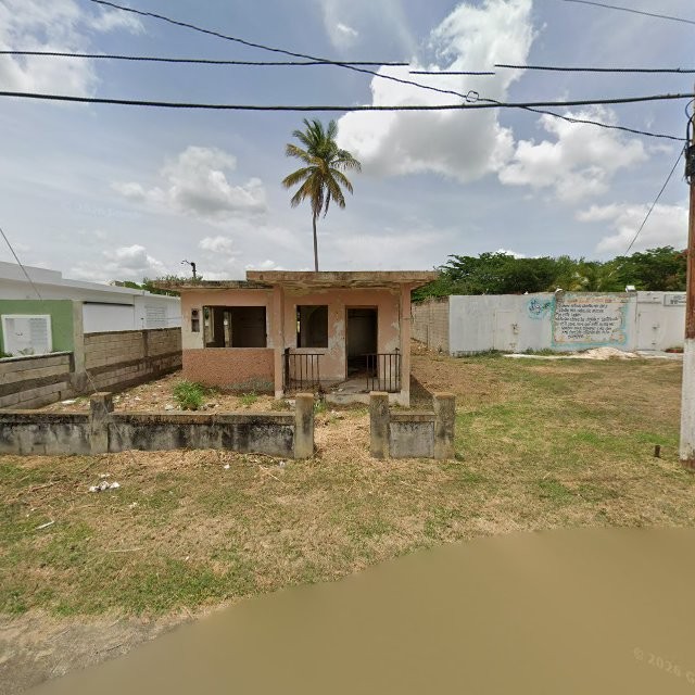 Reporte ciudadano de estorbo público en XR3M+6QV Jobos, Guayama, Puerto Rico, Guayama